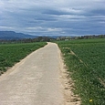 Betonweg Richtung Vendlincourt