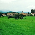 das Dorf Lachapelle-sous-Rougemont