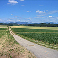 Blick über Land Richtung Vogesen