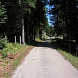 Strasse im Forêt du Massacre