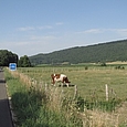 markanter Velostreifen Richtung Lombard