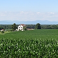 Blick über Land Richtung Vogesen