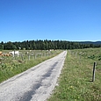 Strasse Richtung Forêt du Massacre