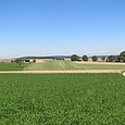 Landschaft bei Vendlincourt