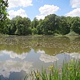 Weiher im Wald vor Florimont