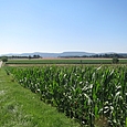 Blick über Land Richtung Jura