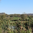 Weiher von Voitre mit Schloss Belvoir